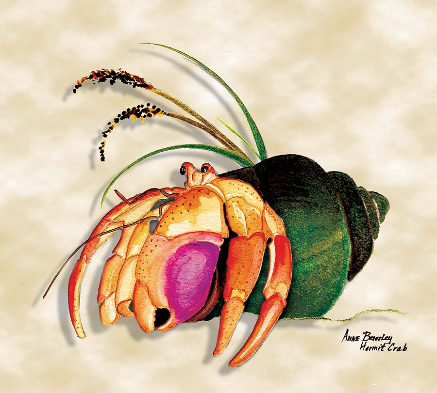 Shell Painting - Hermit Crab in Green Shell by Anne Beverley-Stamps