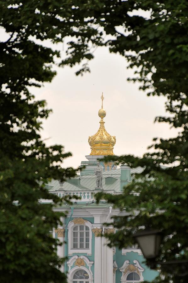 Hermitage Through the Trees Photograph by Barbara Stellwagen - Fine Art ...