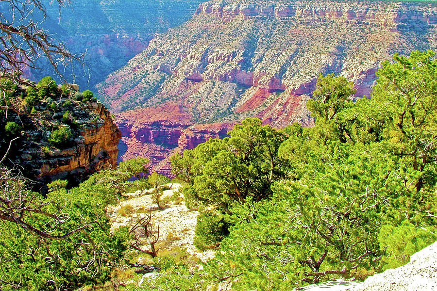 Hermits Trail at West End of South Rim in Grand Canyon National Park-Arizona Photograph by Ruth Hager