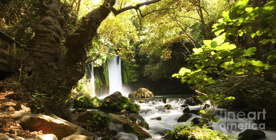 Hermon Stream Nature reserve Banias Photograph by Alon Meir
