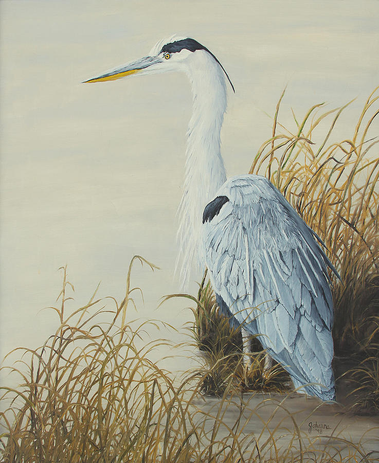 Heron at Marsh Edge Painting by Johanna Lerwick