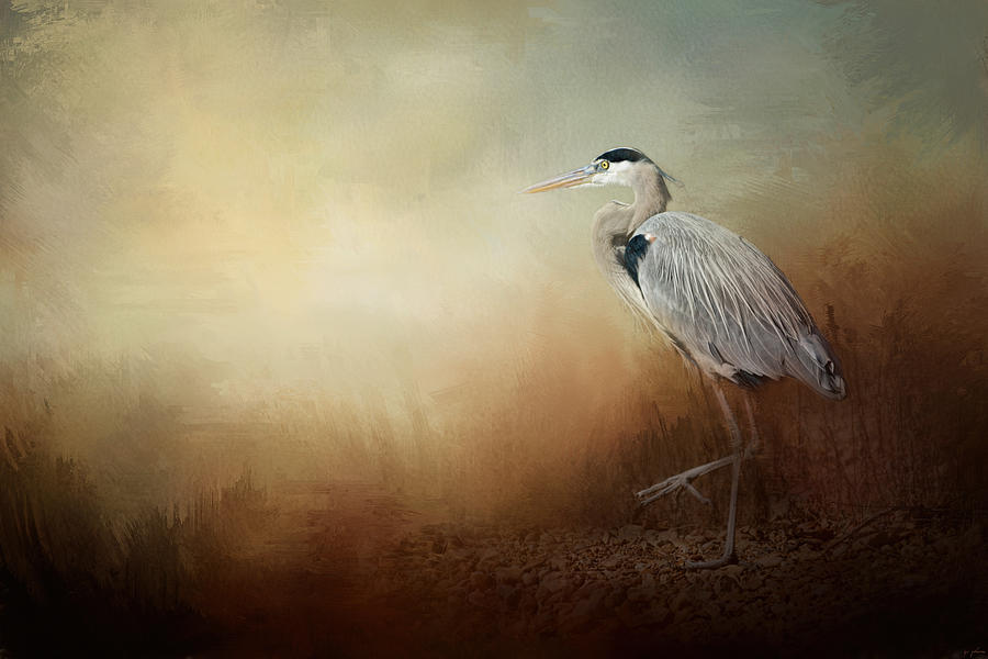 Bird Photograph - Heron At The Inlet by Jai Johnson