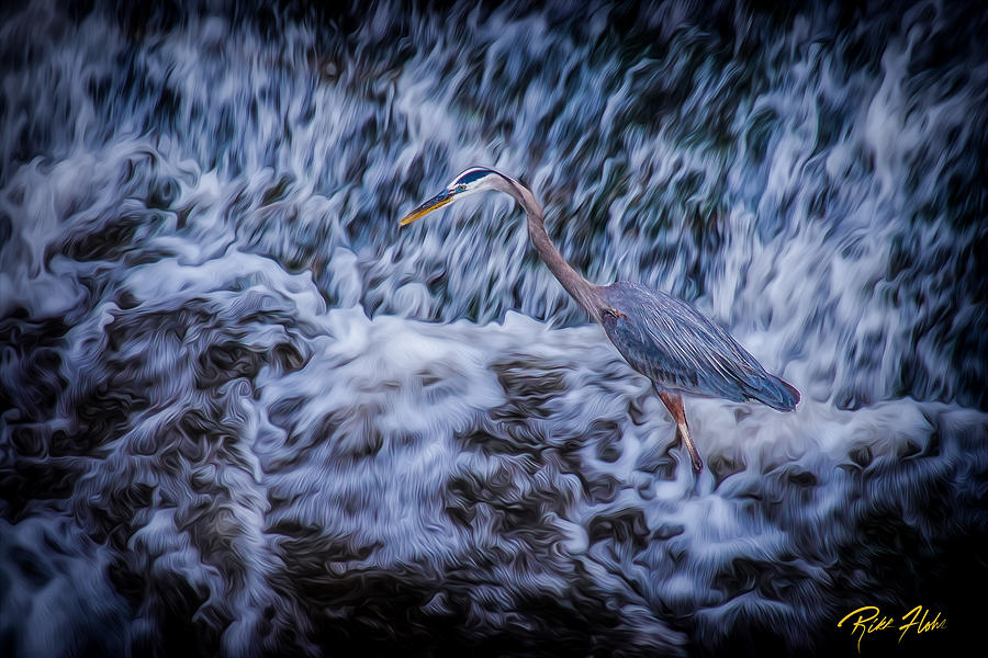 Heron Falls Photograph by Rikk Flohr