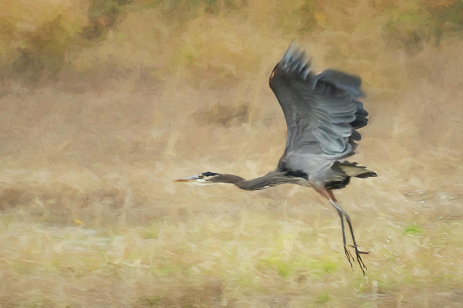 Heron Flying Abstract Photograph by Belinda Greb