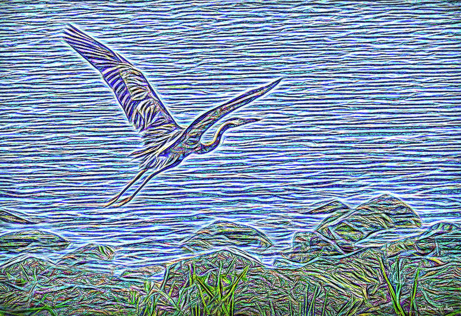 Heron Heavenwards Digital Art by Joel Bruce Wallach