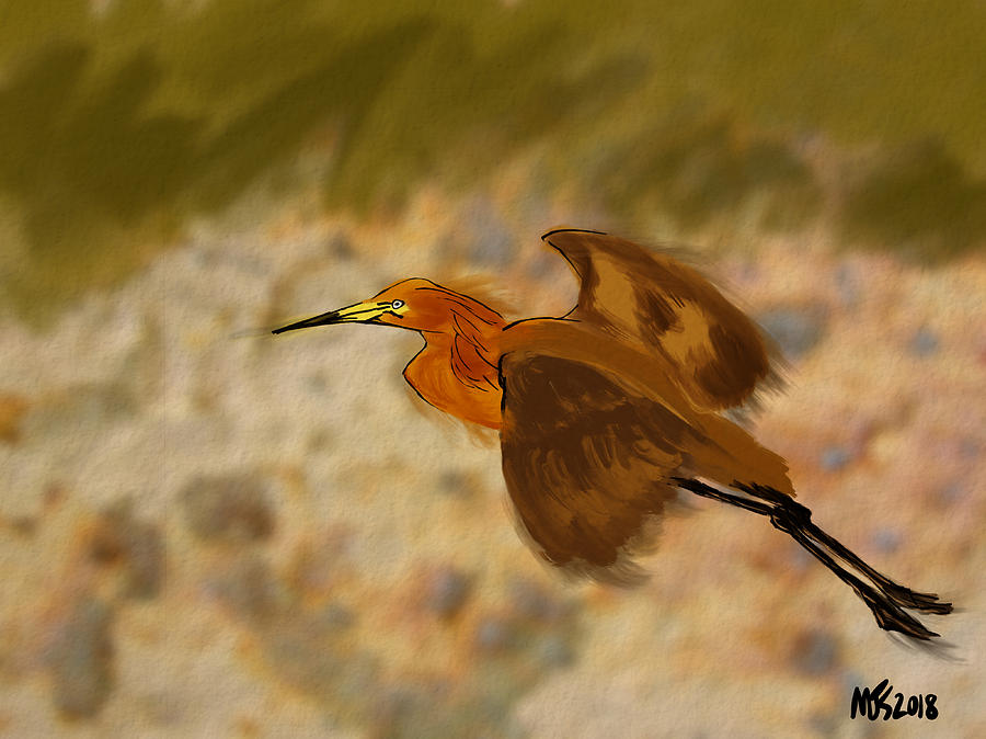 Heron In Flight Digital Art by Michael Kallstrom