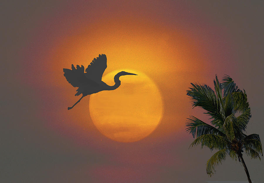 Sunset Digital Art - Heron in Sunset by Richard Nickson Sunset Digital Art - Heron in Sunset by Richard Nickson