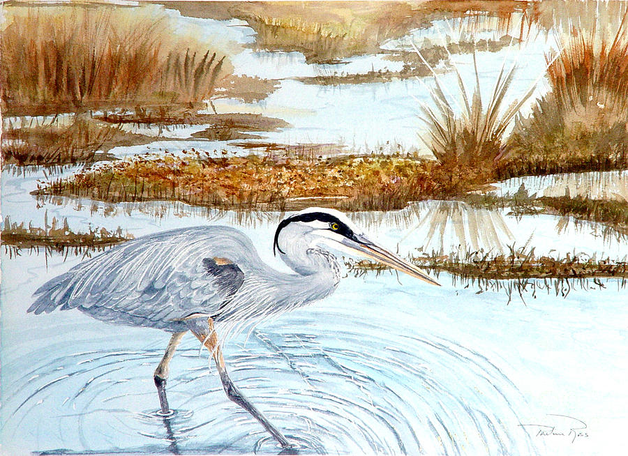 Heron in the Marsh Painting by Pauline Ross - Fine Art America