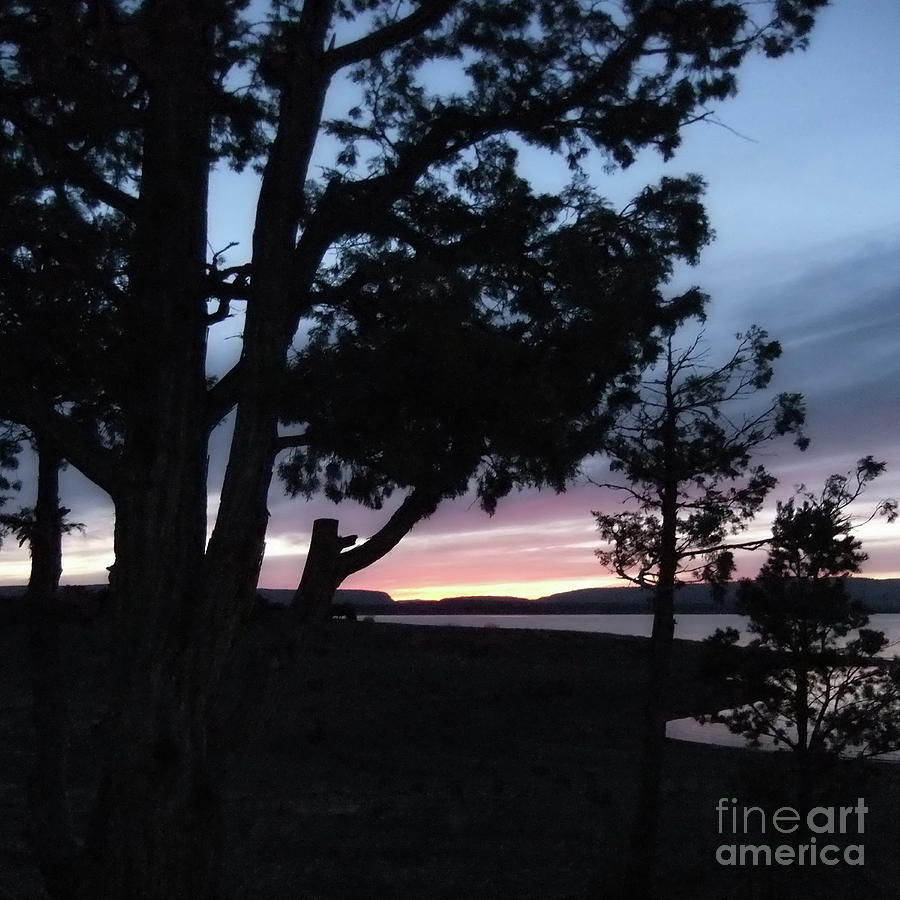 Heron Lake Sunset 2 Photograph by Tim Richards