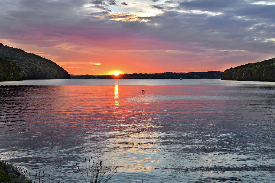 Sunset Photograph - Heron Over Lake Guntersville by Jeannee Gannuch