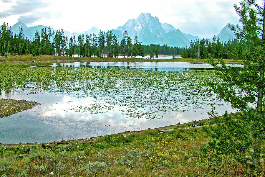 Heron Pond in Grand Tetons National Park, Wyoming   Photograph by Ruth Hager