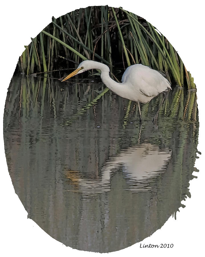 Egret Digital Art - Heron Reflection by Larry Linton