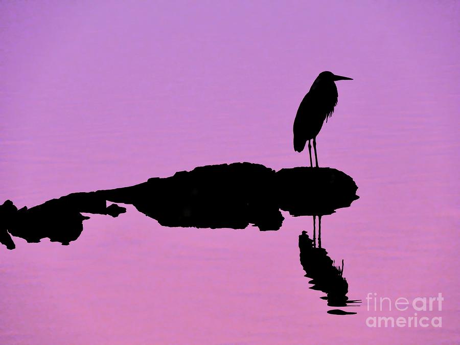 Heron Silhouette Photograph by Beth Myer Photography
