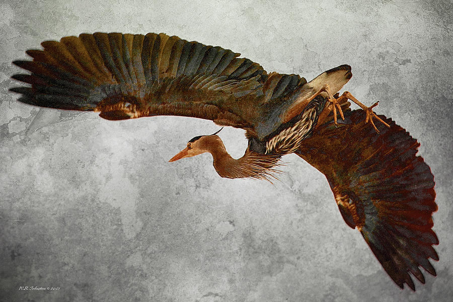 Heron Taking Flight Digital Art by WB Johnston