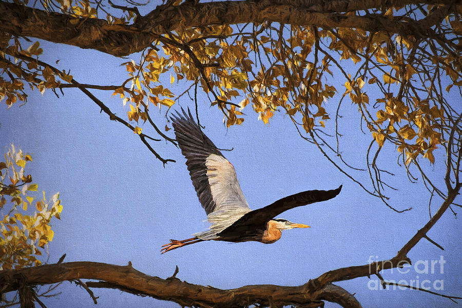 Heron Through the Trees Photograph by Priscilla Burgers