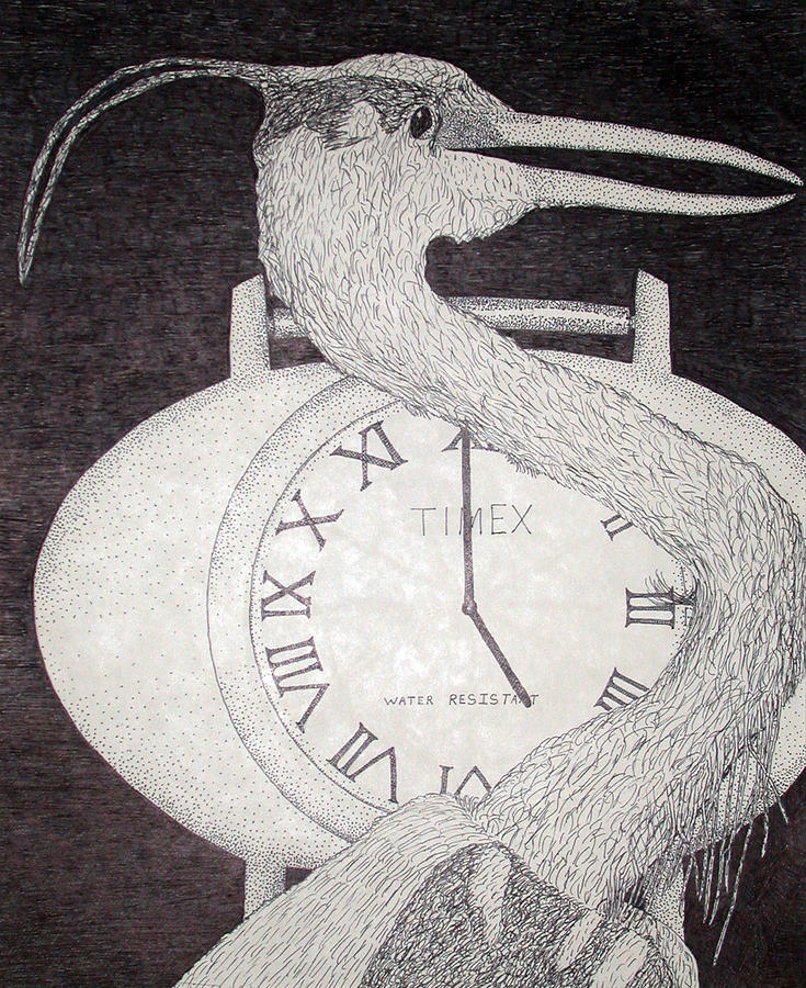 Heron Time Drawing by Shane Bechler