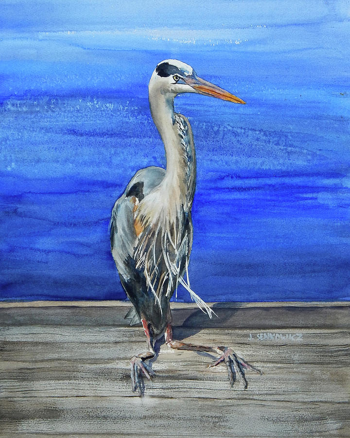 Heron with Attitude Painting by Joan Senkowicz | Fine Art America