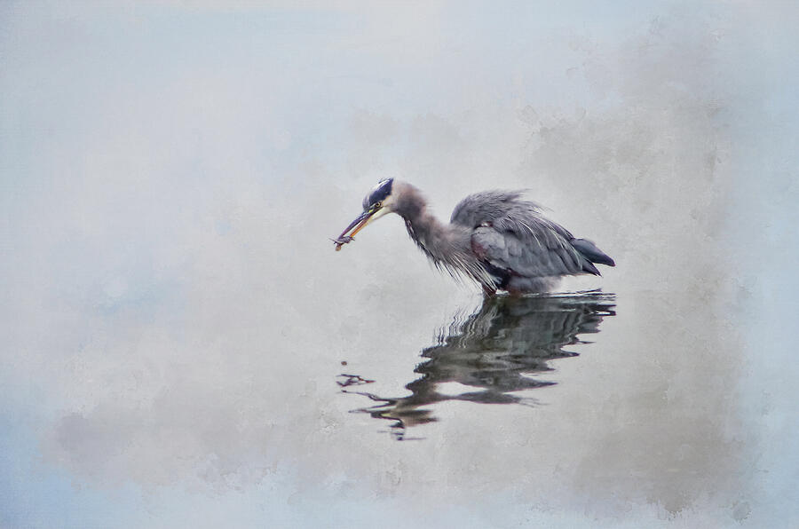 Heron Fishing  - textured Photograph by Marilyn Wilson