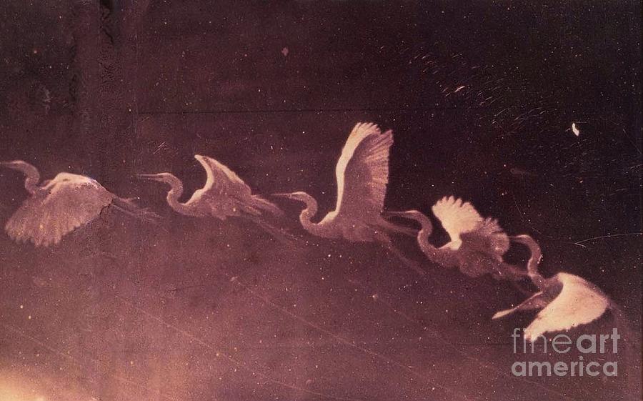 Herons Painting by Celestial Images