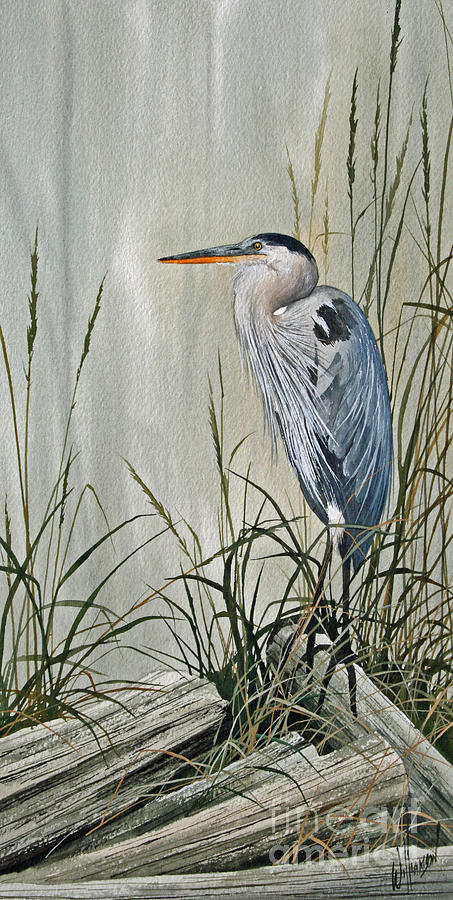 Herons Quiet Rest Painting by James Williamson