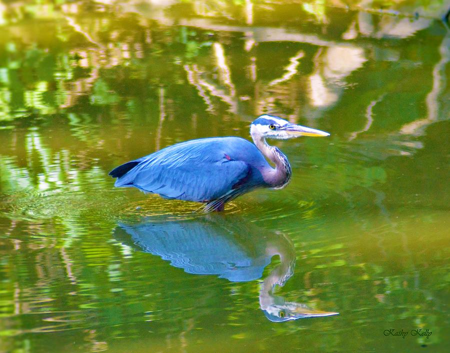 Herons Reflection Photograph by Kathy Kelly