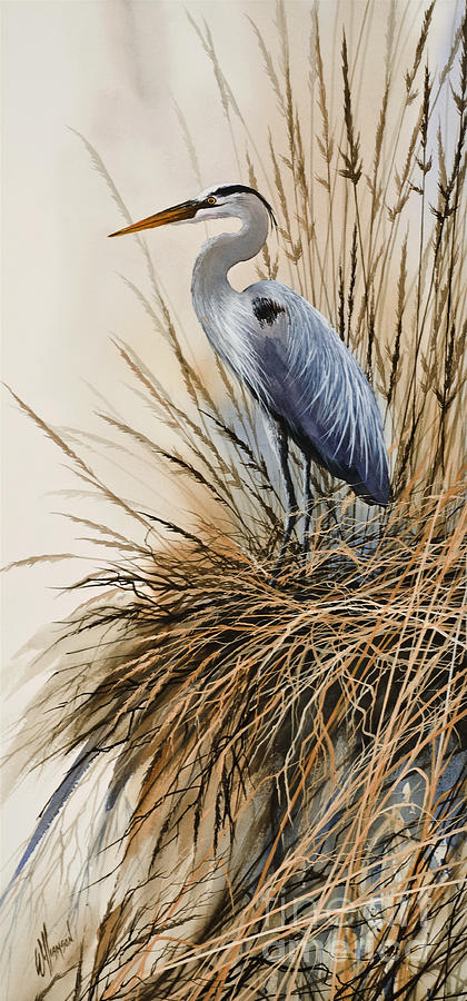 Heron Painting - Herons Solitude by James Williamson