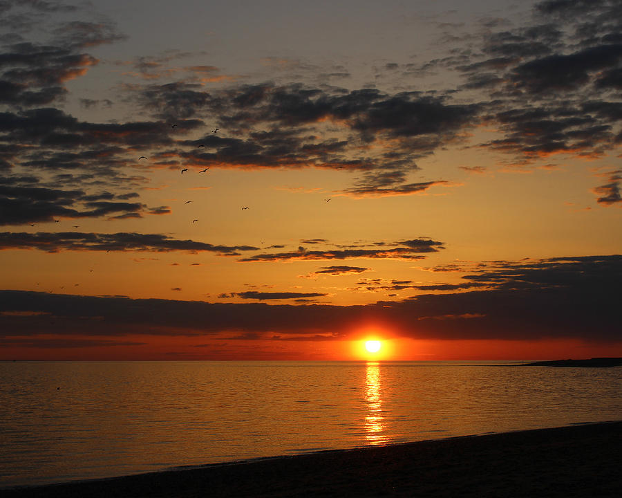 Herring Cove Photograph by Crystal Lindstrom Fine Art America