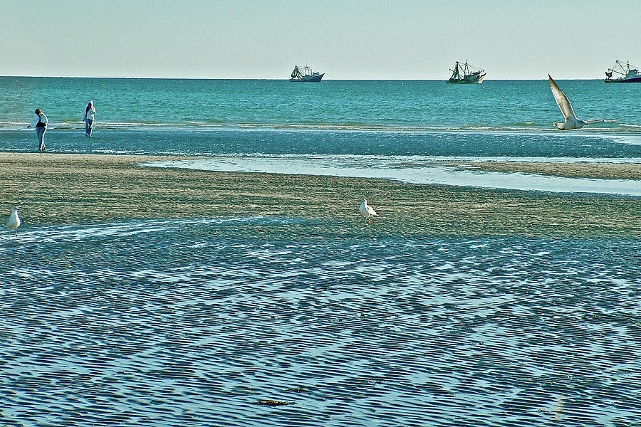 Herring Gulls and Shrimp Boats in Front of Playa Bonita in Puerto Penasco-Mexico Photograph by Ruth Hager