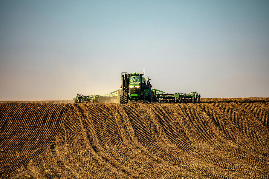 Organic Photograph - Herringbone Sowing by Todd Klassy Organic Photograph - Herringbone Sowing by Todd Klassy