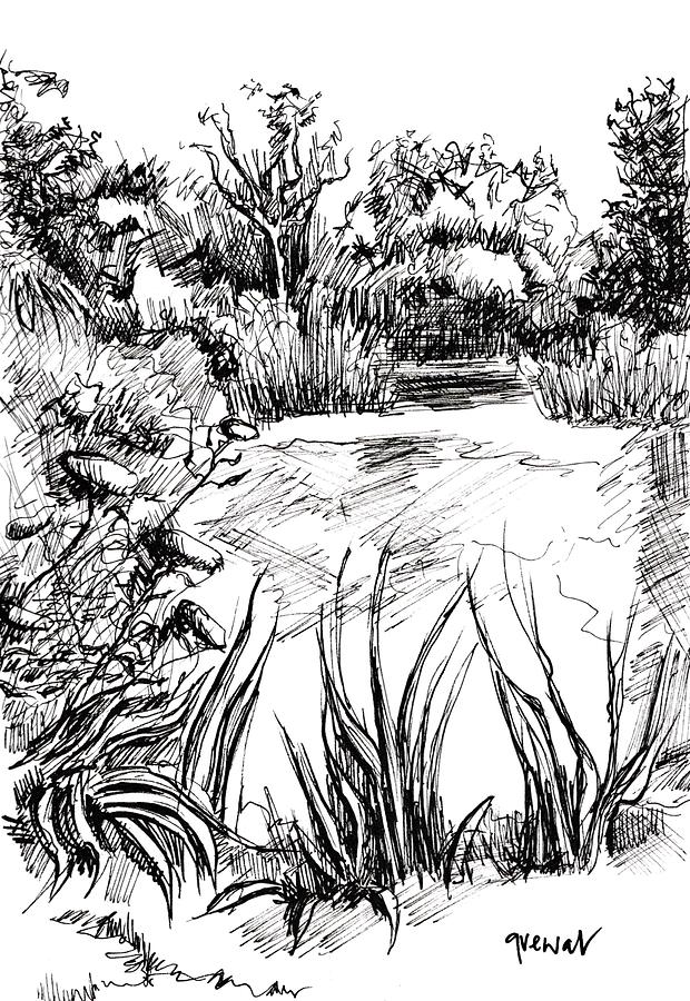 Herschel Park Berkshire ink drawing Drawing by Sukhpal Grewal - Fine ...