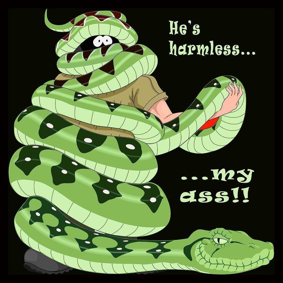 Snake Painting - Hes Harmless My Ass by Unknown