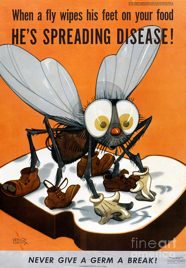 Fly Painting - Hes spreading desease Public Health Poster by Vintage Treasure