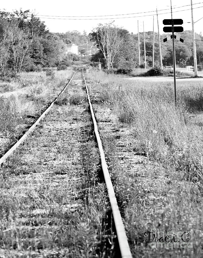 Hespeler Tracks Photograph by Traci Cottingham