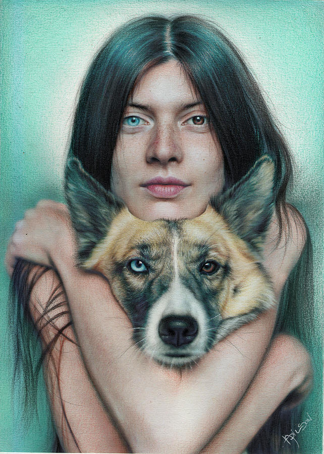Dog Drawing - Heterochromia by Adilson Silva