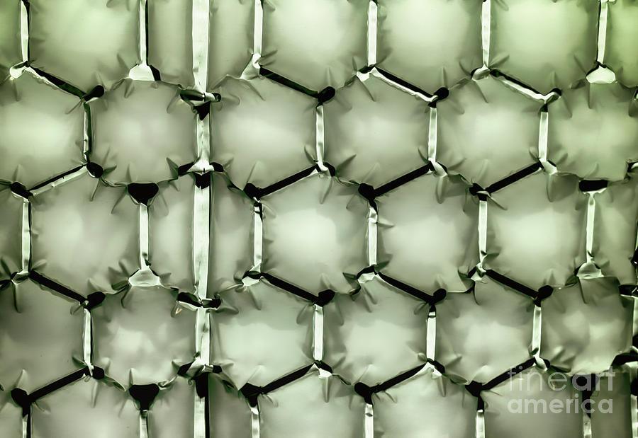 Hexagonal green bubble textured background Photograph by Simon Bratt