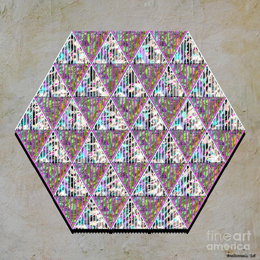 Pattern Digital Art - Hexagonia 1 by Walter Neal
