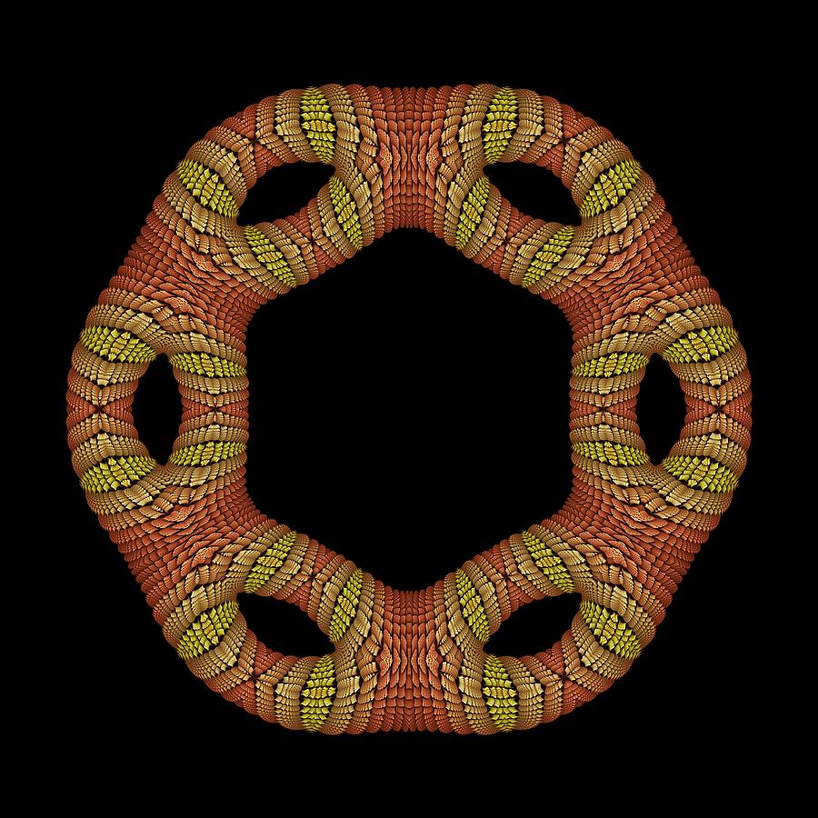 Hexagonyl Tile Digital Art by Doug Morgan