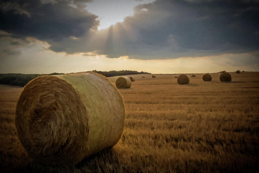 Hey Bales and Sun Rays Photograph by David Dehner