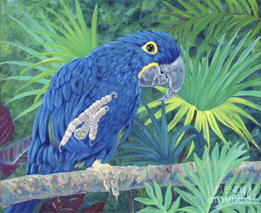 Macaw Painting - Hi Blue by Danielle Perry