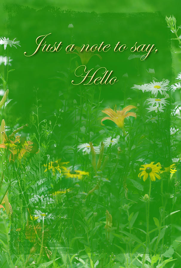 Hi Hello Greeting Card     Wildflower Garden Photograph by Carol Senske