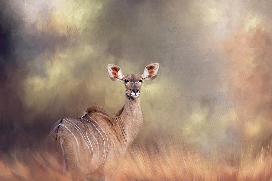 Wildlife Photograph - Hi there. by Lyn Darlington