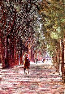 Horse Racing Digital Art - Hialeah by Gary Rogers Horse Racing Digital Art - Hialeah by Gary Rogers