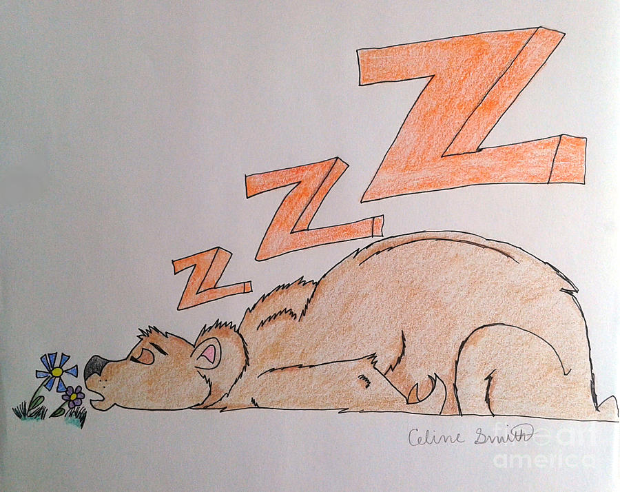 Hibernation? Drawing by Celine Smith