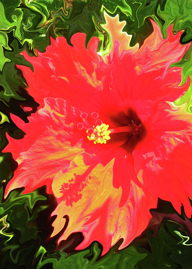 Hibiscus - for Pele Digital Art by Kerri Ligatich