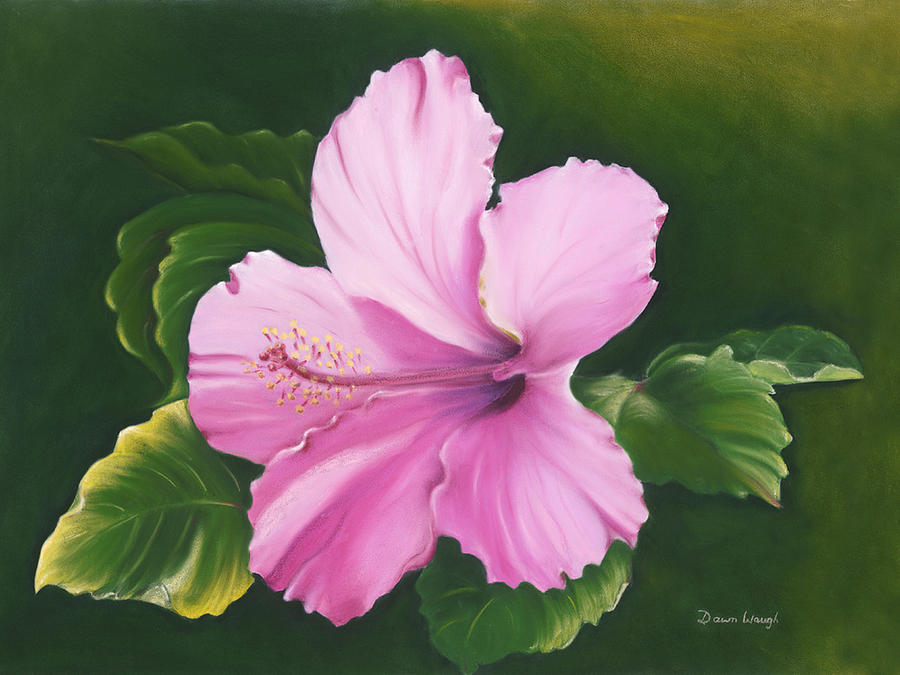 Hibiscus 2 Painting By Dawn Waugh Fine Art America   Hibiscus 2 Dawn Waugh 