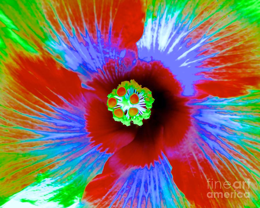 Hibiscus Abstract Photograph by Jean Wright