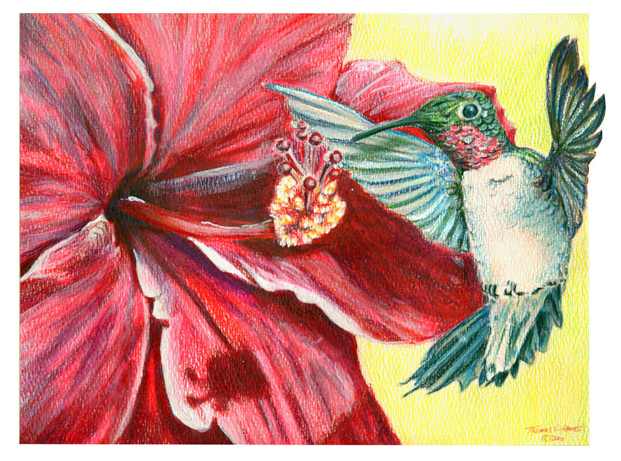 Hibiscus and Hummingbird Painting by Thomas Hamm