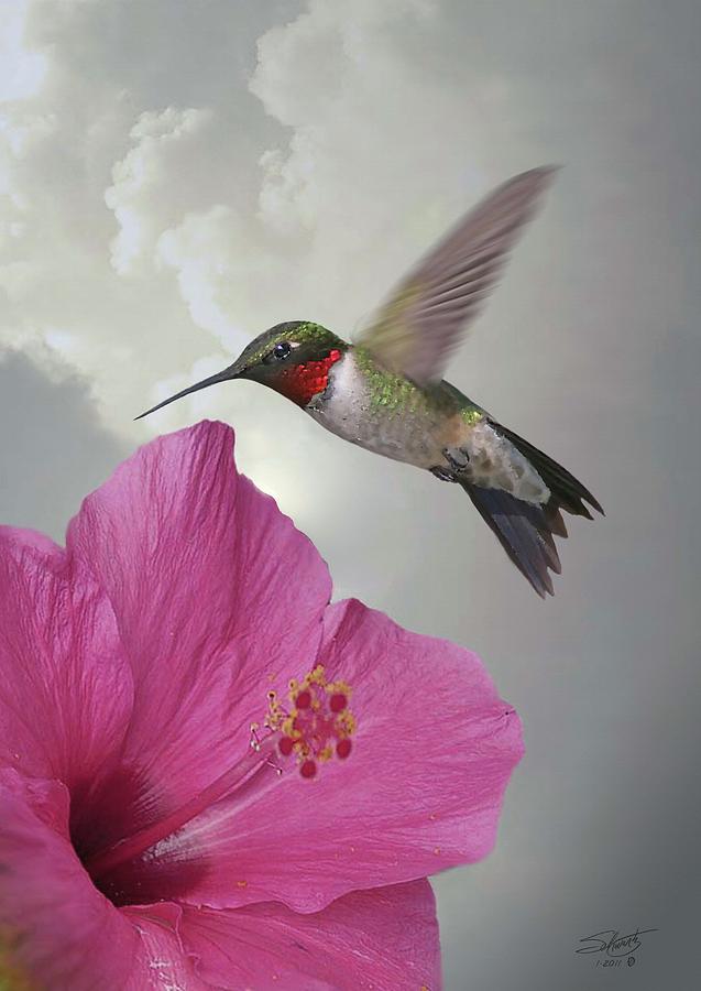 Hibiscus and Ruby-throated Hummingbird Digital Art by M Spadecaller