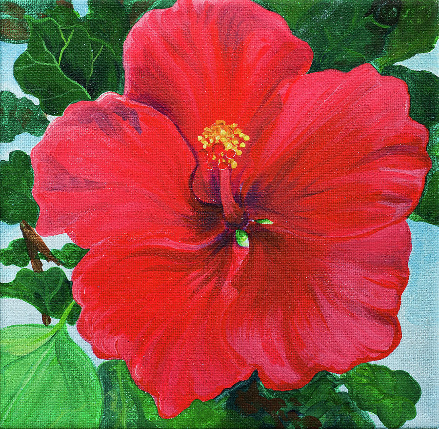 Hibiscus Painting By Cindy Silva Fine Art America