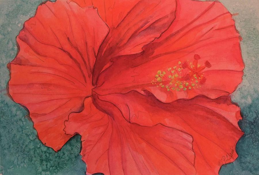 Flowers Still Life Painting - Hibiscus by Donna Pierce-Clark
